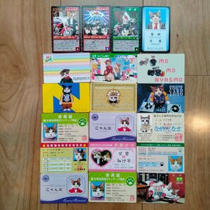 【なめ猫 パロディ ブロマイド 19枚セット】なめんなよ猫 なめねこ まとめ売り 癒し 癒やし かわいい 可愛い 猫 ネコ トレカ