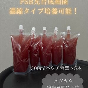PSB300ml×5 濃縮タイプ