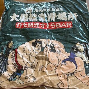 大相撲常滑場所 令和6年秋巡業 常滑市制70周年記念クッション