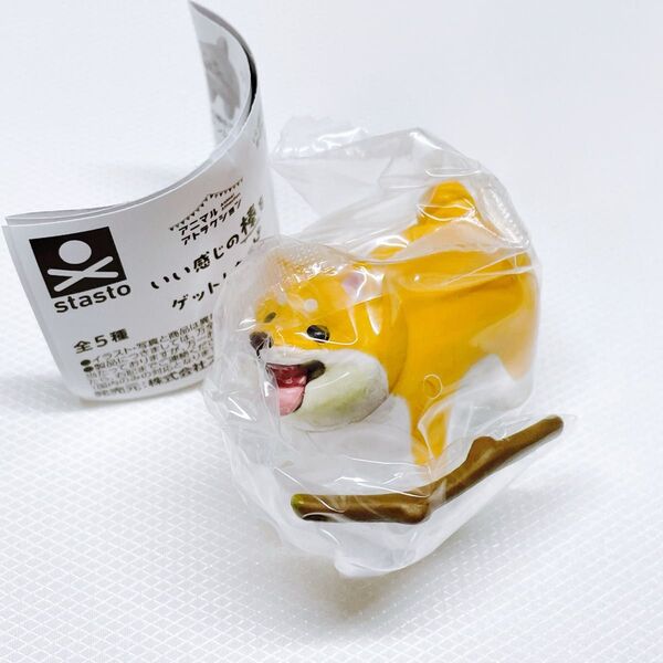 いい感じの棒をゲットした犬 柴犬