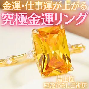 究極金運リング 座敷わらし 宝くじ高額当選 商売繁盛 縁起物 金運アップ 財運 ギャンブル運 仕事運 昇給 昇進 くじ運チケット運