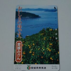 愛媛みかん テレホンカード 愛媛県青果連 未使用