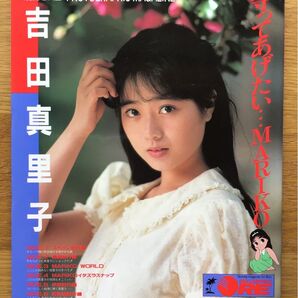 吉田真里子 写真集 ピンナップ あり