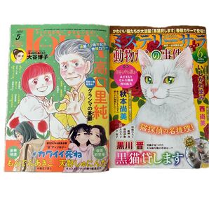 レディースコミック 2冊