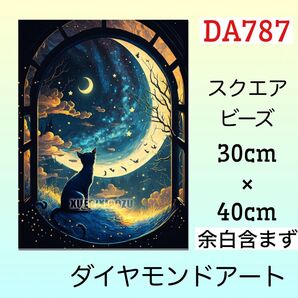 DA787☆ダイヤモンドアートキット☆月を見る猫
