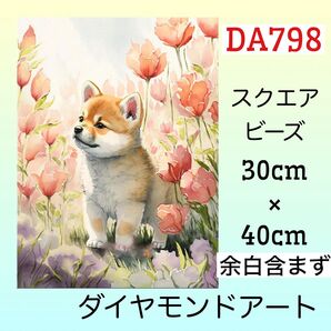DA798☆ダイヤモンドアートキット☆お花の柴