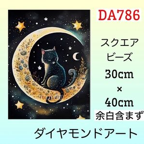 DA786☆ダイヤモンドアートキット☆三日月と猫