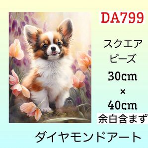 DA799☆ダイヤモンドアートキット☆パピヨン