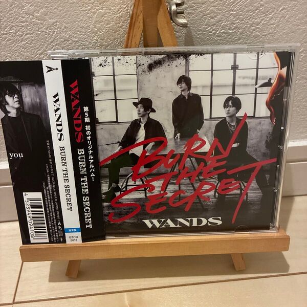 「BURN THE SECRET」 通常盤 (CD)
