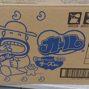 カール ちーず味 10袋