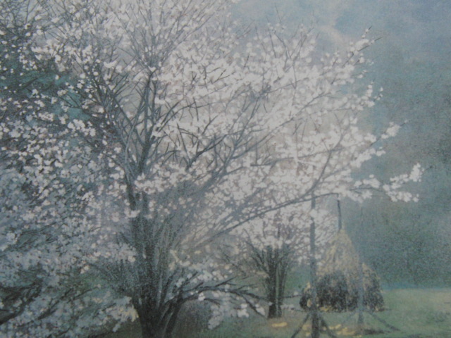 Масами Котацу, [Весна в Торобе], Редкий артбук для оформления, Новая высококачественная рамка в комплекте., В хорошем состоянии, бесплатная доставка, Рисование, Картина маслом, Природа, Пейзаж