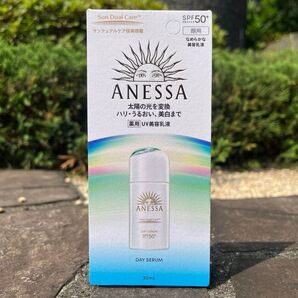資生堂 ANESSA アネッサ デイセラム N