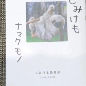 ナマケモノ/じみけも写真集//動物写真集