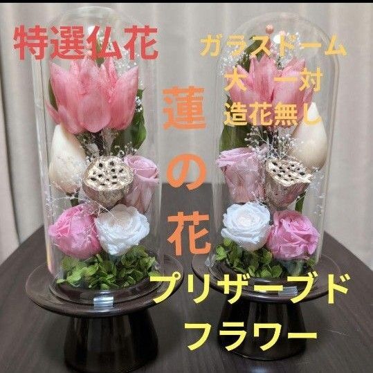 特選仏花 ガラスドーム 大 一対 蓮の花 造花無し プリザーブドフラワー