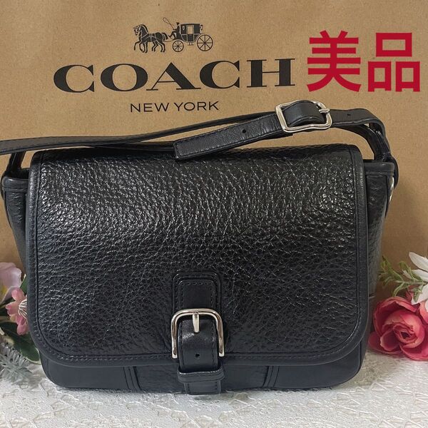 【タイムセール!美品】COACH コーチ ショルダーバッグ 斜め掛け カメラバック ブラック系 黒 レザー 本革 男女兼用