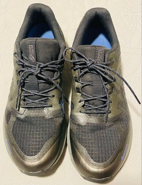 asics アシックス GEL-TERRAIN GTX 28.5cm Gunmetal