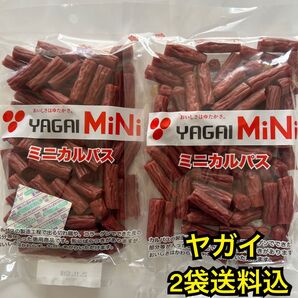 最安値 大人気!お徳用 ヤガイのコラーゲン入りミニカルパス250g×2袋
