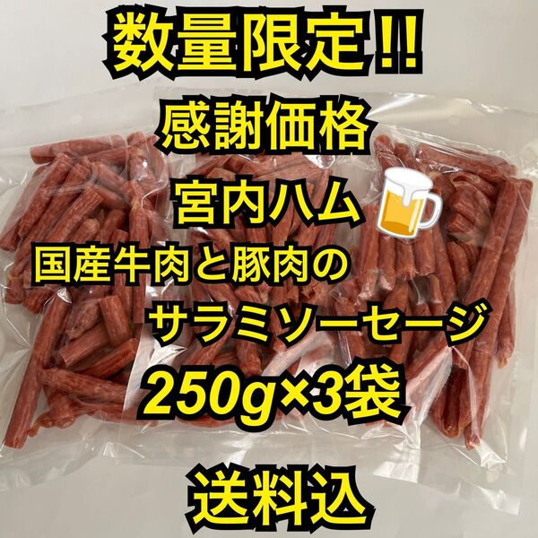 数量限定 感謝価格 大人気!宮内ハム 国産牛肉と豚肉のサラミソーセージ250g×3袋