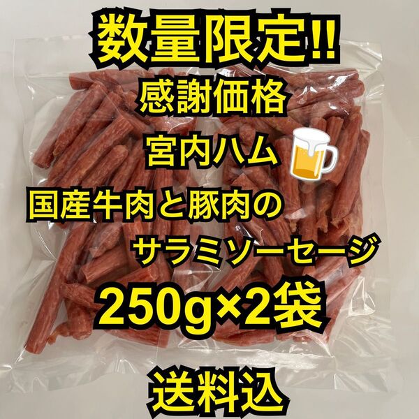数量限定 感謝価格 大人気!宮内ハム 国産牛肉と豚肉のサラミソーセージ250g×2袋