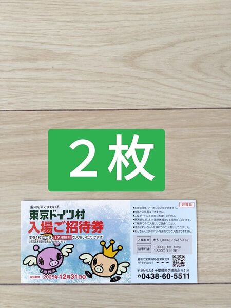 2枚【24時間以内発送】東京ドイツ村 ドイツ村 2025/12/31まで