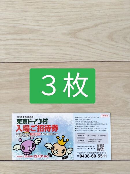 3枚【24時間以内発送】東京ドイツ村 ドイツ村 2025/12/31まで
