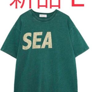 WIND AND SEA (CRACK-P-DYE) S/S Tee GREEN Lサイズ