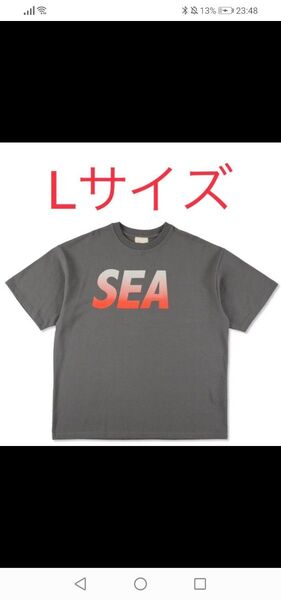 WIND AND SEA SIGNATURE SEA S/S Tee GRAY Lサイズ