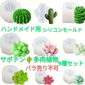 ハンドメイド用シリコンモールド☆9種セット多肉植物、サボテン型