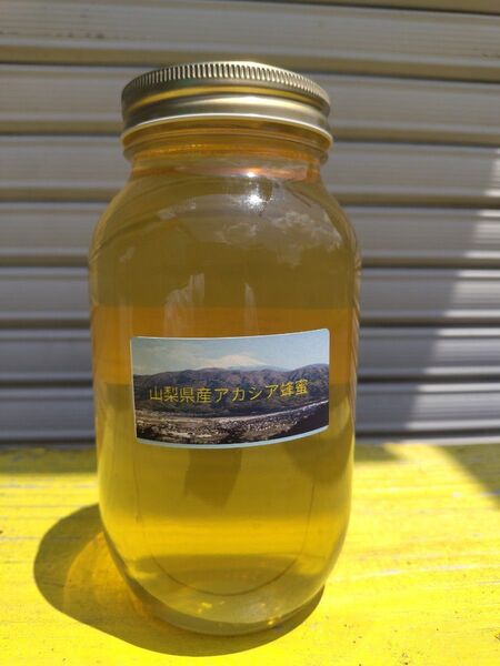 山梨県産 アカシア蜂蜜 1200g(ビン) 1本入り 2025年5月採り