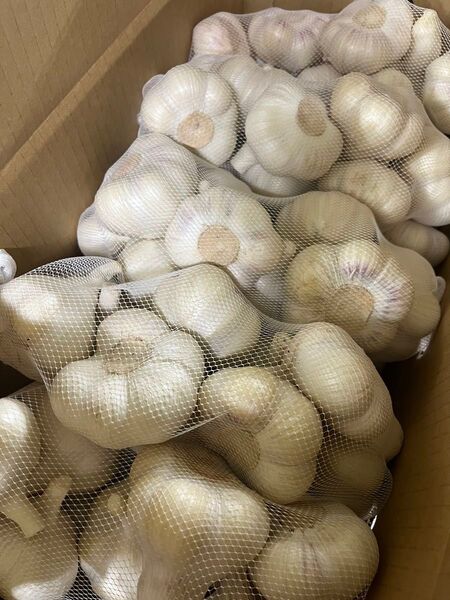 青森県産 令和7年産 生にんにく 2L玉 2kg