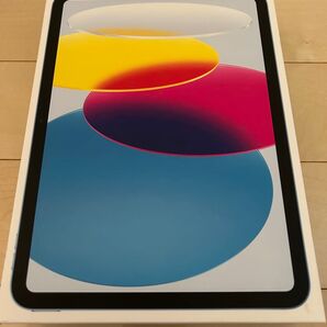 iPad 10.9インチ WiFi + Cellular 2022年モデル