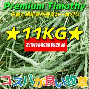 ★お買得&数量限定品★チモシー11kg ★プレミアム 一番刈り うさぎ チンチラ デグー 小動物 ペットフード 牧草 おやつ