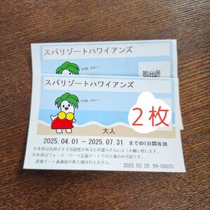 スパリゾートハワイアンズ 入場券 大人2枚