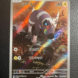 24時間以内発送 商品番号4623 ポケモンカードゲーム ホワイトフレア sv11W AR シママ