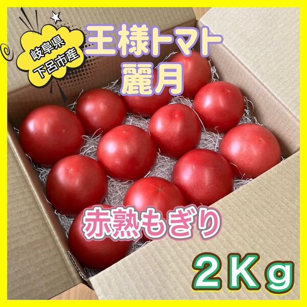 王様トマト 数量限定 麗月 2Kg 飛騨トマト 赤熟もぎり 完熟トマト トマト