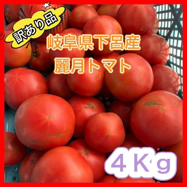 【規格外品】農家直送 大玉トマト 麗月 4Kg 訳あり 飛騨トマト