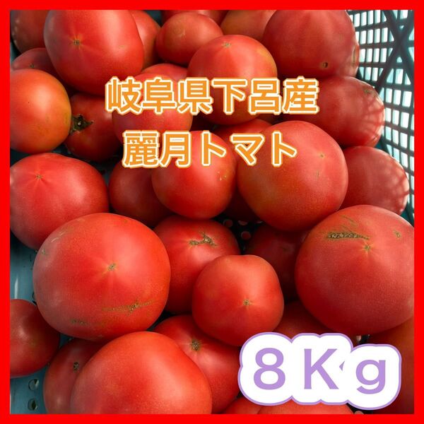 【規格外品】農家直送 大玉トマト 麗月 8Kg 訳あり 飛騨トマト