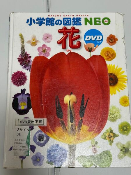 小学館 図鑑NEO 花 小学館の図鑑NEO 児童書 DVDなし 小学館の図鑑NEO DVD欠品 学習 絵本 植物