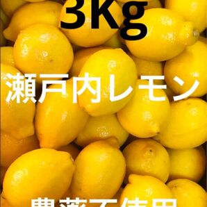 国産瀬戸内レモン3Kg