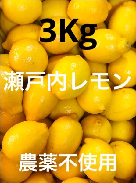 国産瀬戸内レモン3Kg