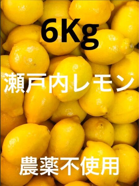 国産瀬戸内レモン6Kg