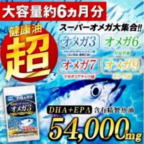 オメガ3 DHA EPA えごま油 6ヶ月分 大容量 半年