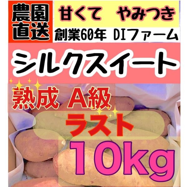 ラスト【熟成】A級 さつまいも シルクスイート 10kg (箱こみ) 土つき サイズミックス 千葉県産 2024年