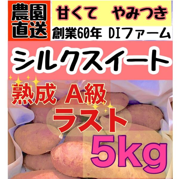 ラスト【熟成】A級 さつまいも シルクスイート 5kg (箱こみ) 土つき サイズミックス 千葉県産 2024年