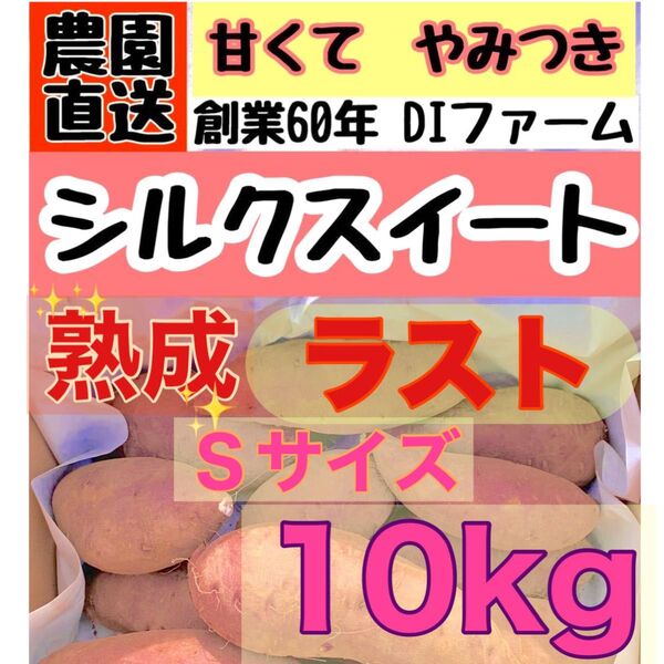 ラスト 熟成さつまいも A級 シルクスイート 10kg (箱こみ) 土つき Sサイズ 千葉県産 2024年もの DIfarm