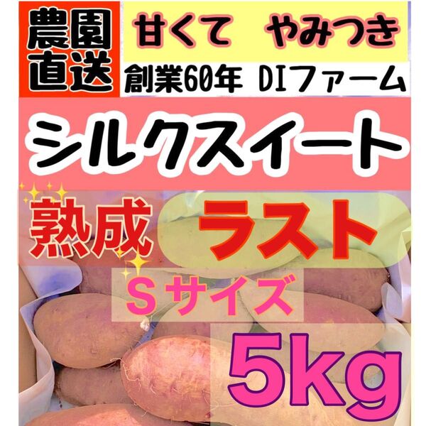 熟成さつまいも A級 シルクスイート 5kg (箱こみ) 土つき Sサイズ 千葉県産 2024年もの DIfarm