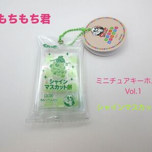 もちもち君 ミニチュアキーホルダー Vol.1 シャインマスカット餅 TAITO限定 シャインマスカット ボールチェーン