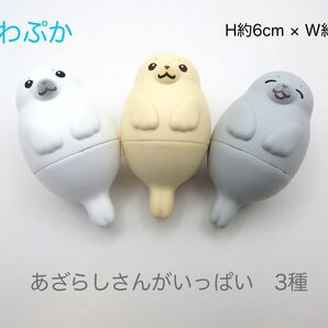 ふわぷか あざらしさんがいっぱい 3種 こどもしろあざらし こどもちゃいろあざらし こどもはいいろあざらし 水遊び プール