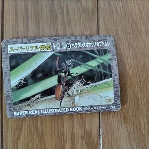 スーパーリアル図鑑 ヘラクレスオオツノカブト 昆虫カード