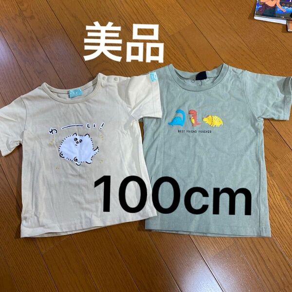半袖Tシャツ100cm